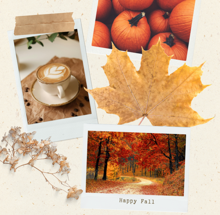 Letter from Alexis: Falling for September!